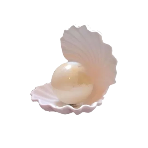 🐚 Стикер «pink vibe» для Telegram