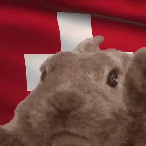 🇨🇭 Стикер «VIBE flag» для Telegram