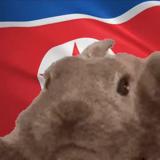 🇰🇵 Стикер «VIBE flag» для Telegram