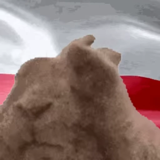 🇵🇱 Стикер «VIBE flag» для Telegram
