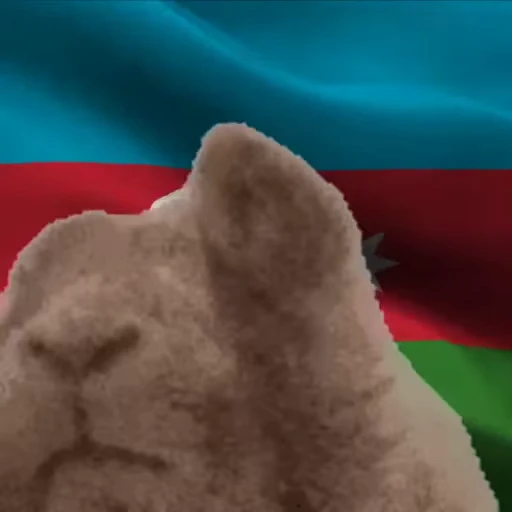 🇦🇿 Стикер «VIBE flag» для Telegram