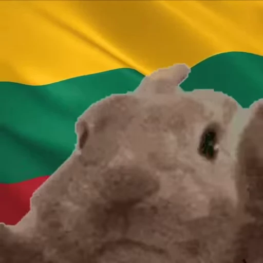 🇱🇹 Стикер «VIBE flag» для Telegram