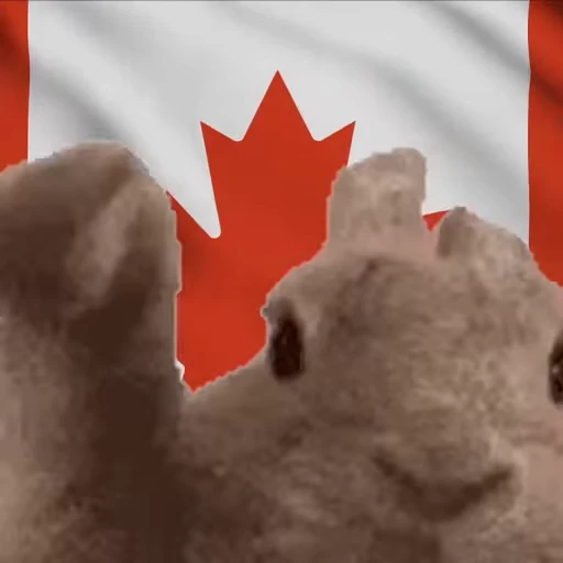 🇨🇦 Стикер «VIBE flag» для Telegram