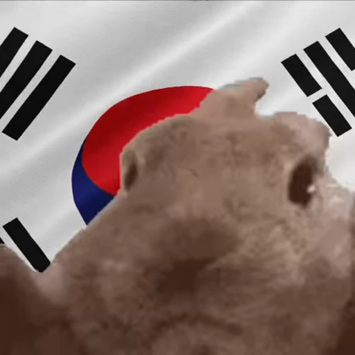 🇰🇷 Стикер «VIBE flag» для Telegram