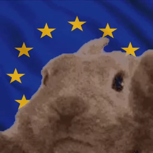 🇪🇺 Стикер «VIBE flag» для Telegram