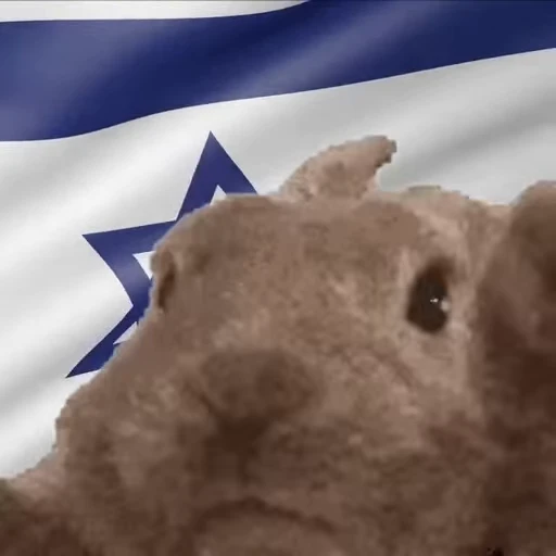 🇮🇱 Стикер «VIBE flag» для Telegram