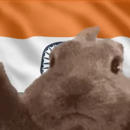 🇮🇳 Стикер «VIBE flag» для Telegram