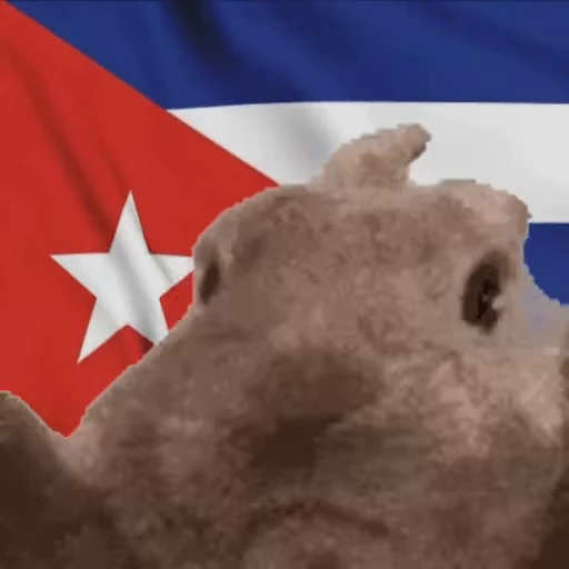 🇨🇺 Стикер «VIBE flag» для Telegram