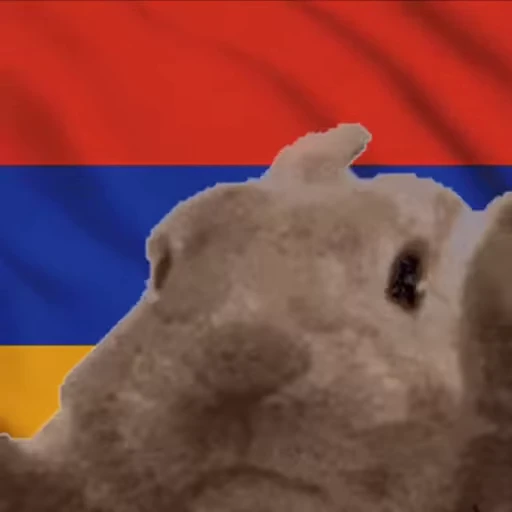 🇦🇲 Стикер «VIBE flag» для Telegram