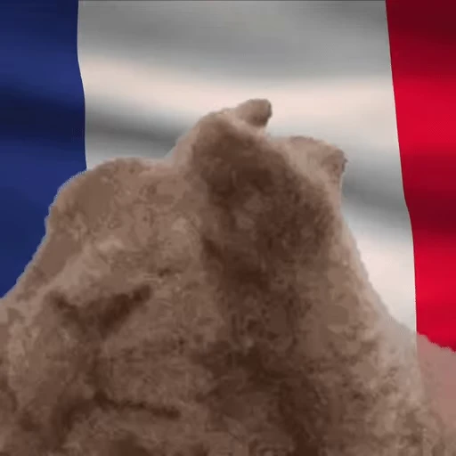 🇫🇷 Стикер «VIBE flag» для Telegram