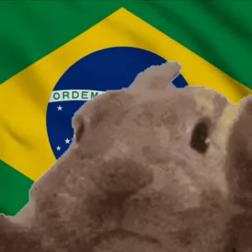 🇧🇷 Стикер «VIBE flag» для Telegram
