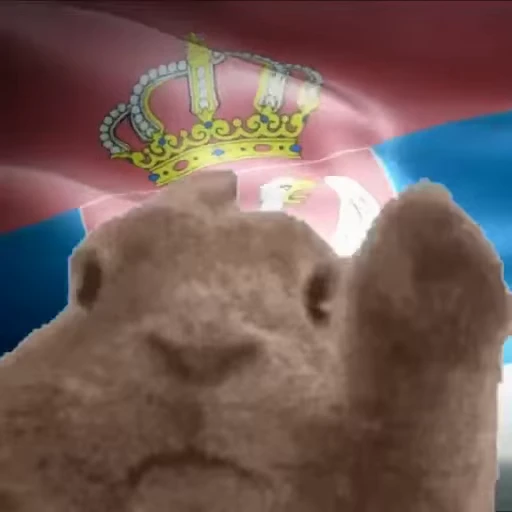 🏴 Стикер «VIBE flag» для Telegram
