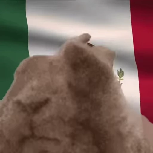 🇲🇽 Стикер «VIBE flag» для Telegram