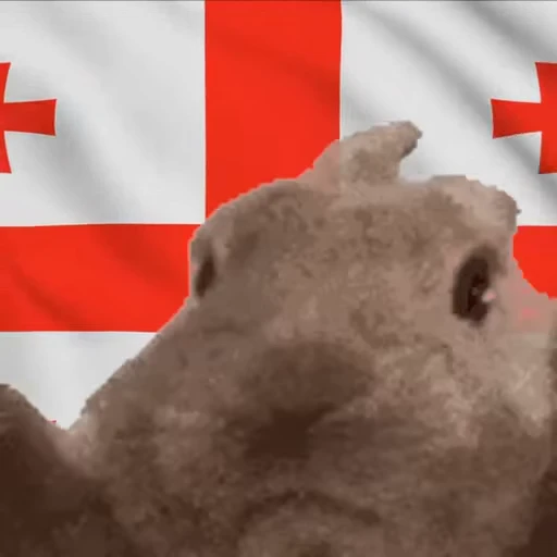 🇬🇪 Стикер «VIBE flag» для Telegram