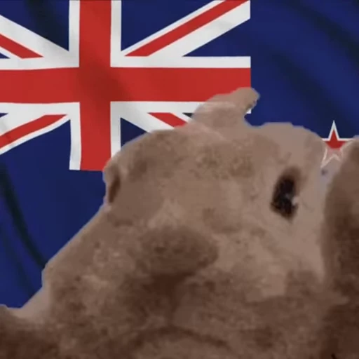 🇳🇿 Стикер «VIBE flag» для Telegram