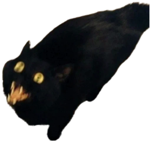 😾 Стикер «Cat Vibes» для Telegram