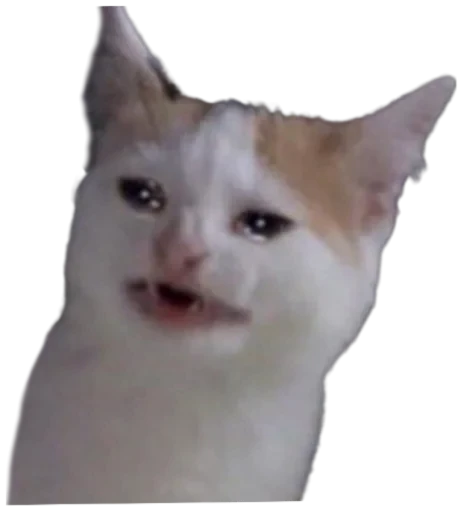 😭 Стикер «Cat Vibes» для Telegram