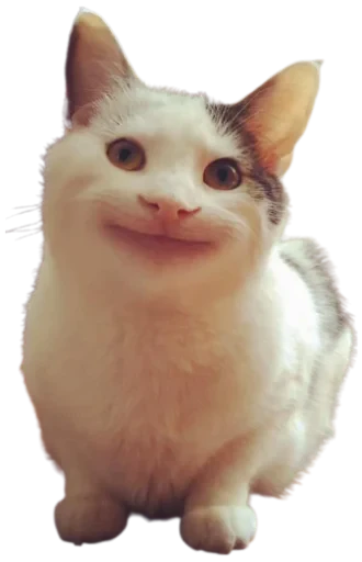 🙂 Стикер «Cat Vibes» для Telegram