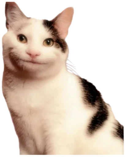😾 Стикер «Cat Vibes» для Telegram