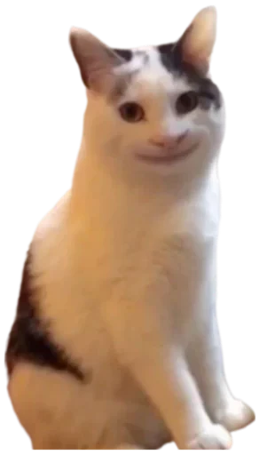 😃 Стикер «Cat Vibes» для Telegram