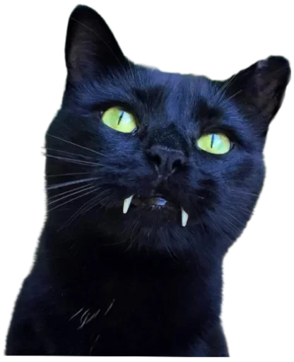 🦷 Стикер «Cat Vibes» для Telegram