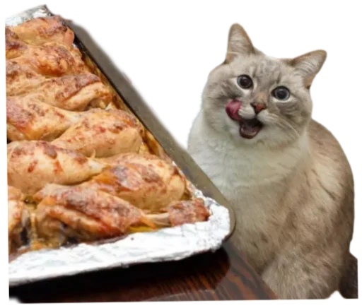 🍔 Стикер «Cat Vibes» для Telegram