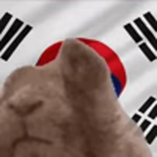 🇰🇷 Эмодзи «Vibe Flag Emoji» для Telegram
