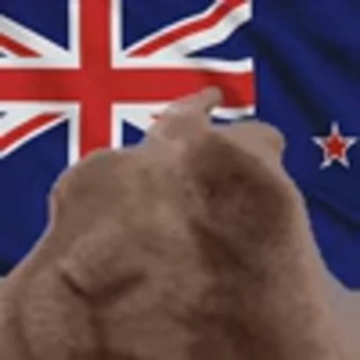 🇳🇿 Эмодзи «Vibe Flag Emoji» для Telegram