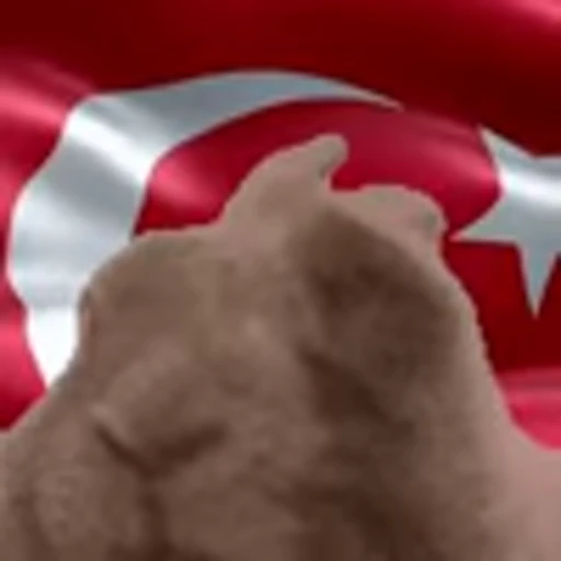 🇹🇷 Эмодзи «Vibe Flag Emoji» для Telegram