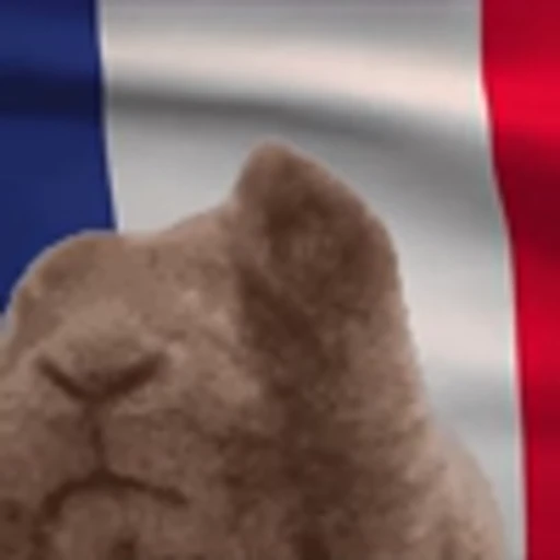 🇫🇷 Эмодзи «Vibe Flag Emoji» для Telegram