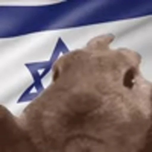 🇮🇱 Эмодзи «Vibe Flag Emoji» для Telegram