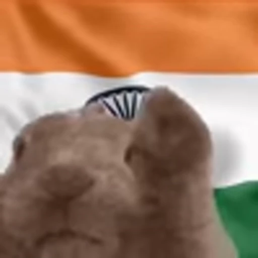 🇮🇳 Эмодзи «Vibe Flag Emoji» для Telegram
