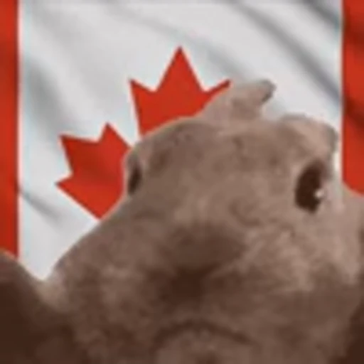🇨🇦 Эмодзи «Vibe Flag Emoji» для Telegram