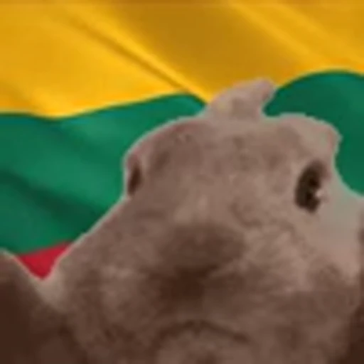 🇱🇹 Эмодзи «Vibe Flag Emoji» для Telegram