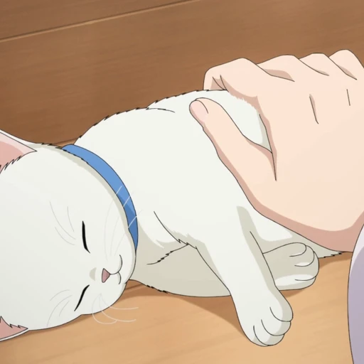 🐈 Стикер «Sakuta Azusagawa» для Telegram
