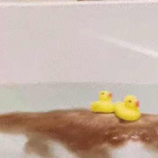 🐥 Стикер «🐱🫧🧼🛁» для Telegram