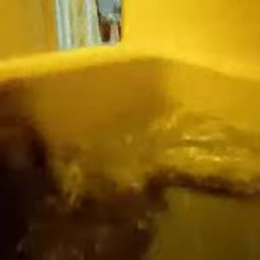 😿 Стикер «🐱🫧🧼🛁» для Telegram