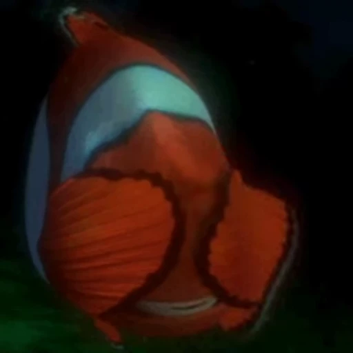 🫣 Стикер «Finding Nemo» для Telegram