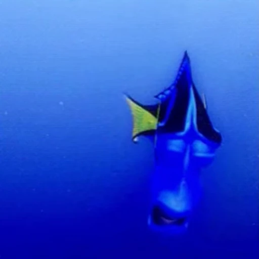 🙄 Стикер «Finding Nemo» для Telegram