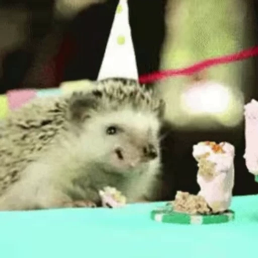 🥳 Стикер «🦔» для Telegram