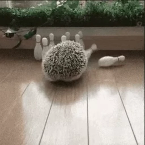 😠 Стикер «🦔» для Telegram