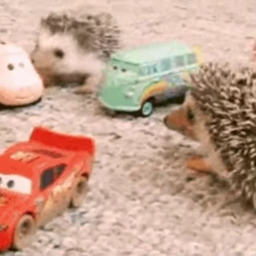 🚐 Стикер «🦔» для Telegram