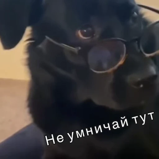 🤓 Стикер «Хочу в отпуск» для Telegram