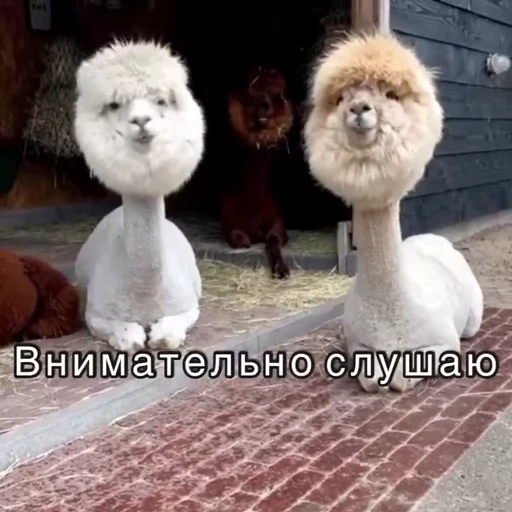 👍 Стикер «Хочу в отпуск» для Telegram