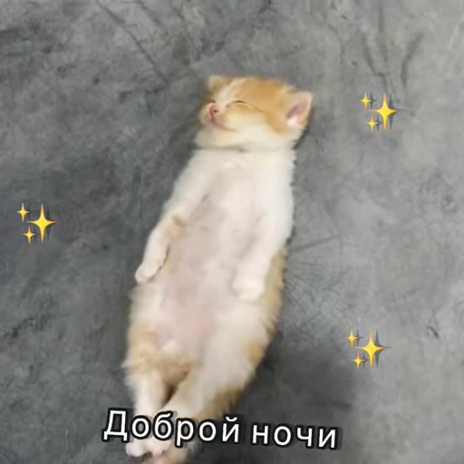 😴 Стикер «Хочу в отпуск» для Telegram