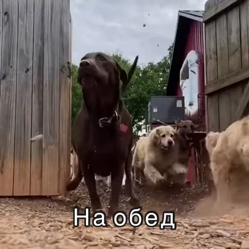 😋 Стикер «Хочу в отпуск» для Telegram