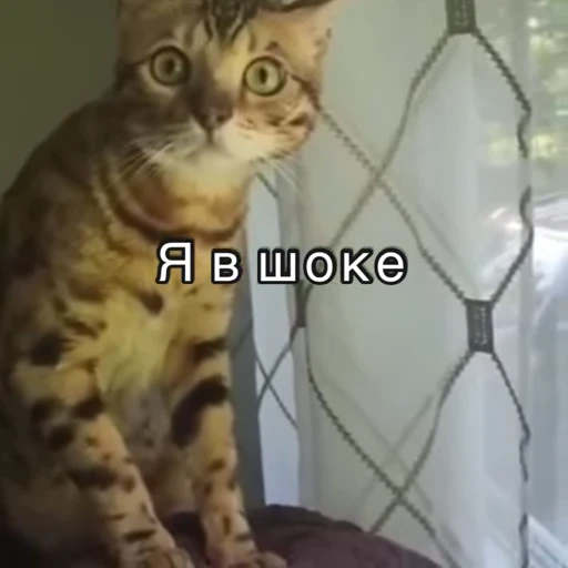 😳 Стикер «Хочу в отпуск» для Telegram