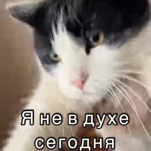 😰 Стикер «Хочу в отпуск» для Telegram