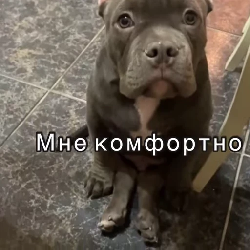 😇 Стикер «Хочу в отпуск» для Telegram