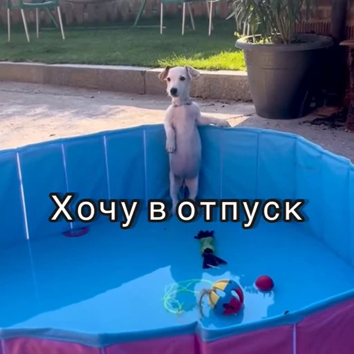 🌞 Стикер «Хочу в отпуск» для Telegram